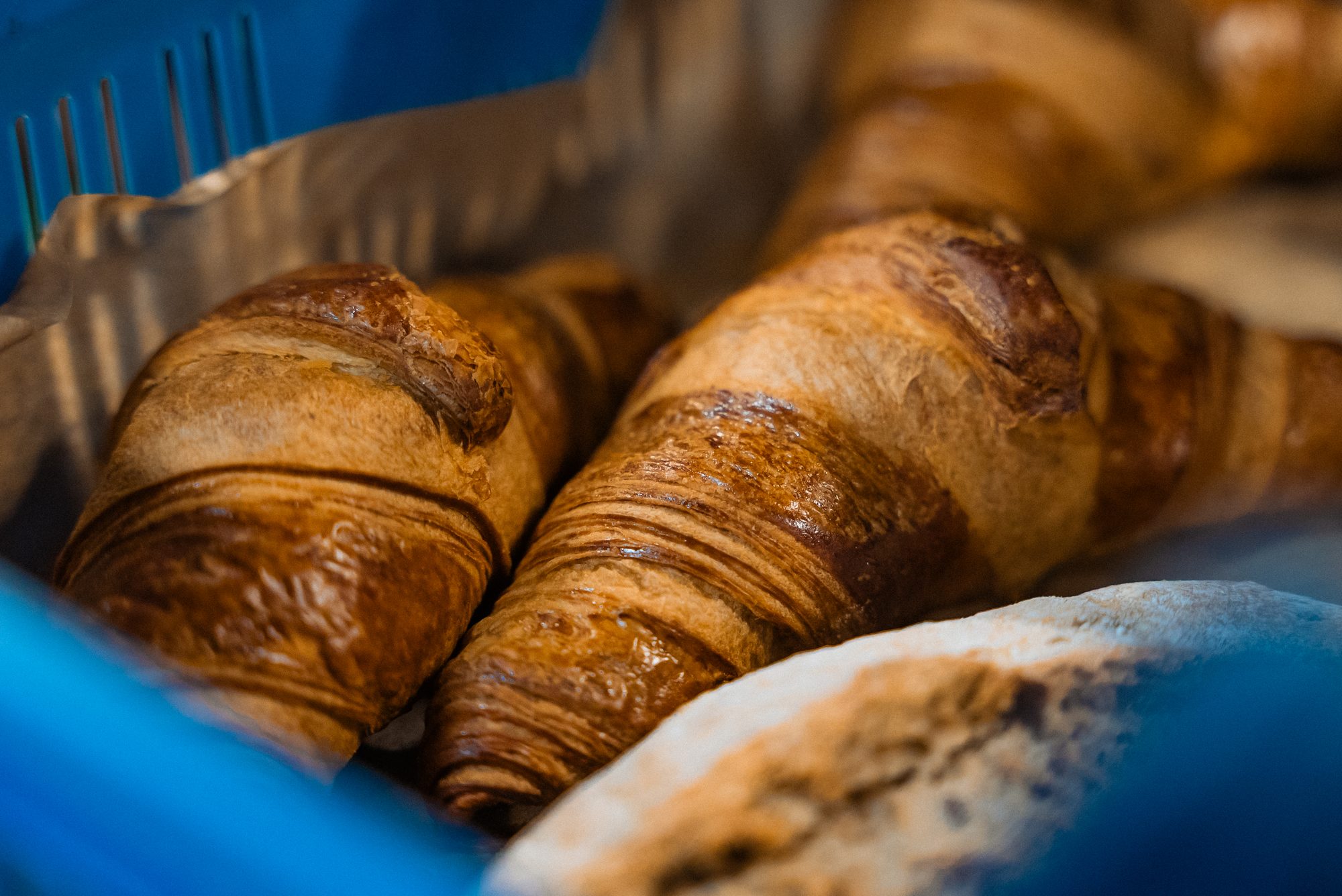 Warm, flaky croissants — straight from the bakery.